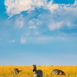 浪漫杀死巨蟹座