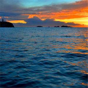 Fiskaren Og Direktivet