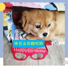 伤了你的心的我伤心