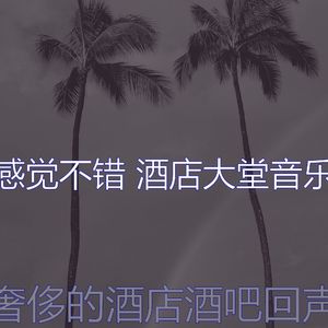 优美酒店大堂器乐