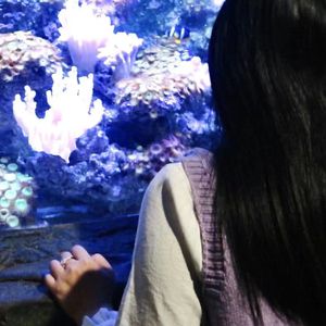 归还