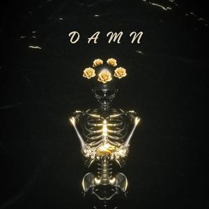 Damn