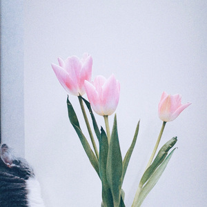 春天不应该下雨