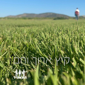 קיץ ארוך וחם