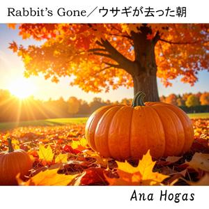 Rabbit’s Gone／ウサギが去った朝