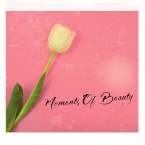 Moments Of Beauty