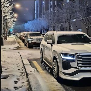 兰德酷路泽进行曲（卓玛高配置曲）