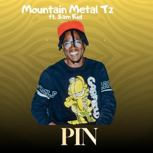 Pin