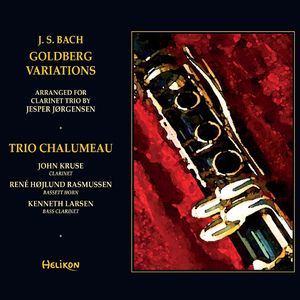 Goldberg Variations, BWV 988: Variatio 22. Alla Breve