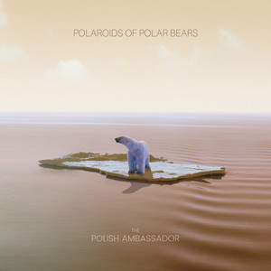 Polaroids of Polar Bears