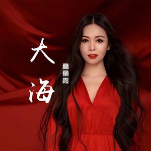 大海 (Dj默涵版伴奏)