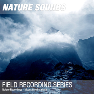 Nature Sounds for Sleep, Relaxation & Meditation (Summit wind sounds) 09