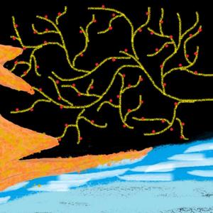 Doctor Unplugged (Live)