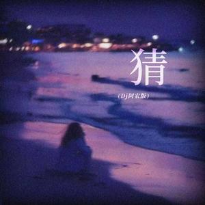 猜（我一点一点猜）（Dj阿农版）