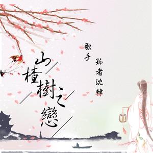 《山楂树之恋》-（温柔男声原唱版）