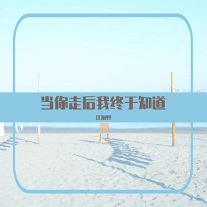 当你走后我终于知道