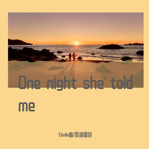 One night she told me 伴奏