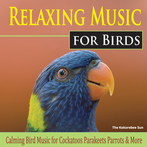 Music for Budgerigars