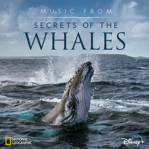 Sperm Whales Clicks (From "Secrets of the Whales"/Score)
