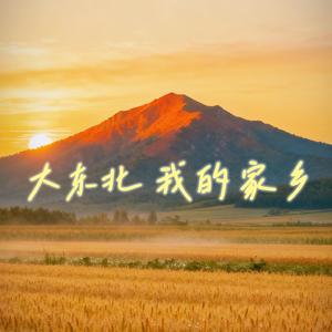 大东北我的家乡