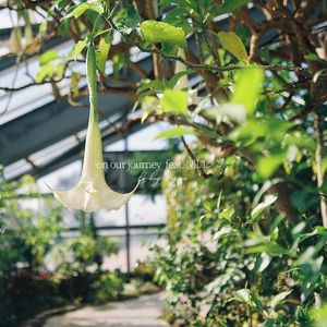 on our journey feat. Shingo Sekiguchi