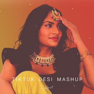 TikTok Desi Mashup (feat. 2NV)