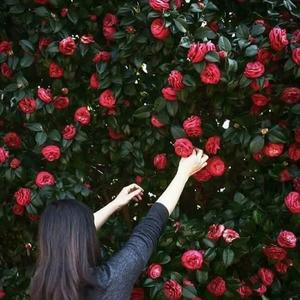 爱到尽头 覆水难收