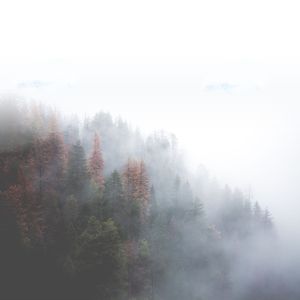 Coal (I've Seen Heaven Without Dying) [Chill Remix]