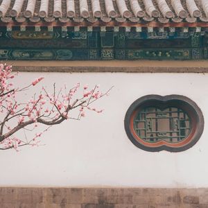 “春风序” Chinese Pop Type Beat