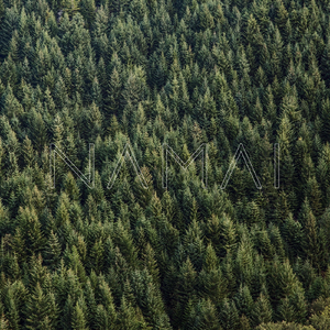 Sakme Apie Juru Gyventojus