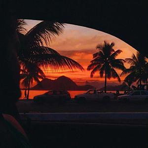 鲨鱼宝宝
