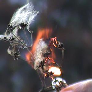 Pusteblumen anzünden (feat. Golow)