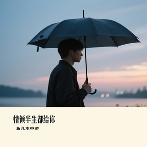 情倾半生都给你