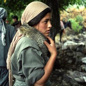 ez kuştim şêrînê