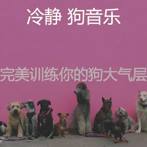 安静的训练你的狗声音