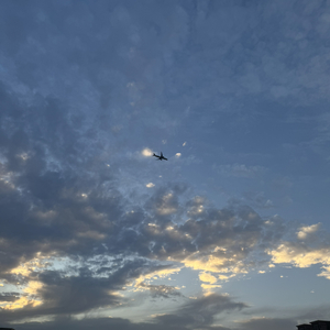 曾沿着雪路浪游