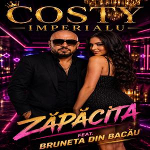 Zăpăcita (feat. Bruneta Din Bacău)