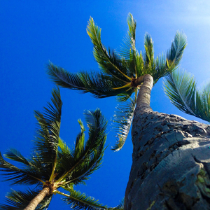 Love the Earth (Digisaako Remix)