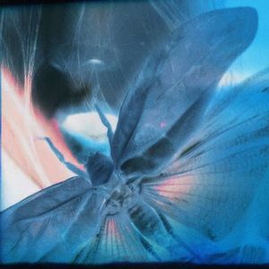 选择性漠视（prod.by Morrow x Aye 叶师傅）