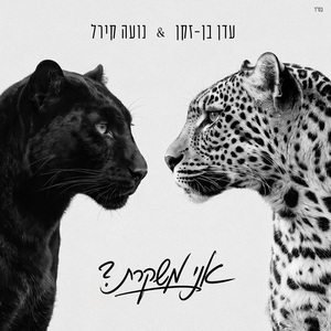 אני משקרת?