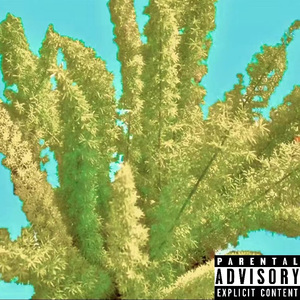 武竹prod.by Tio Sandro