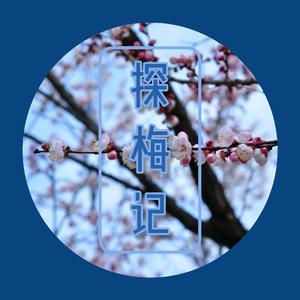 探梅记