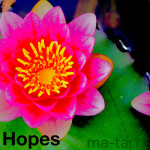 Hopes