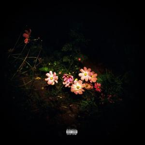 Out The Garden (feat. ahxander)