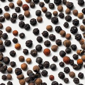 후추 같은 사랑