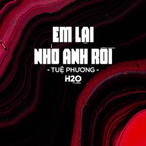 Em Lại Nhớ Anh Rồi (Remix Deep House)