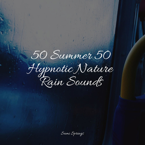 Rustling Woodland Gales