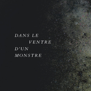 Dans le ventre d'un monstre