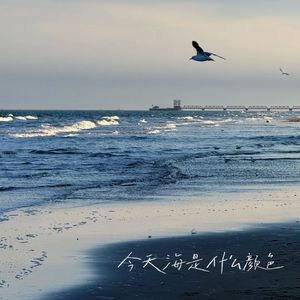 今天海是什么颜色