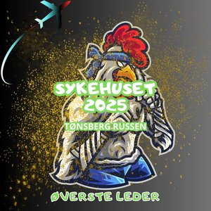 Sykehuset 2025 (Tønsberg Russen)